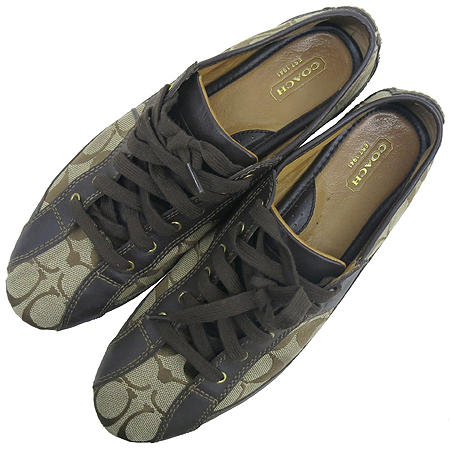 Coach(��ġ) �ñ׳�ó �ڰ��� ��ũ���� ����Ŀ�� �̹���5 - ���̺��� �߰���ǰ