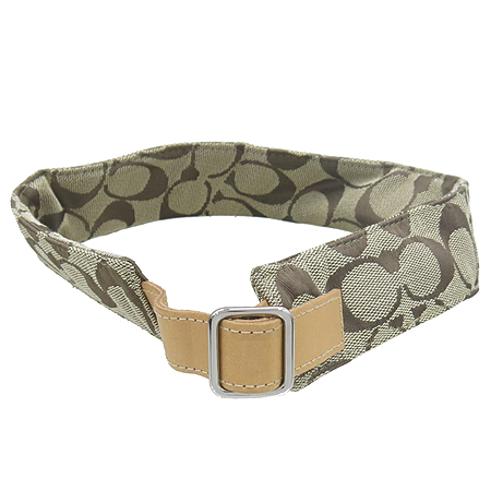 Coach(��ġ) �ñ״�ó ��ĸ �̹���3 - ���̺��� �߰���ǰ