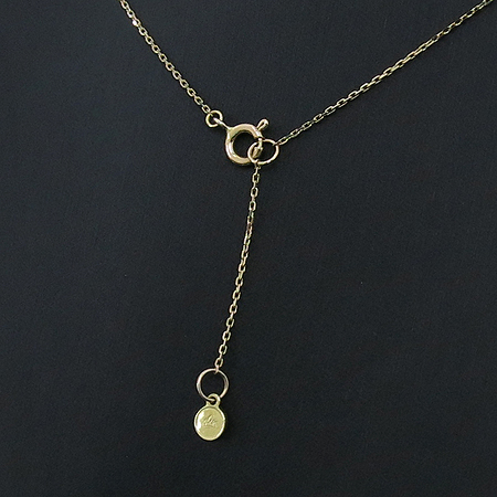 J.ESTINA(���̿���Ƽ��) 14K ��ũ��� ��� ü�� ����� �̹���4 - ���̺��� �߰���ǰ