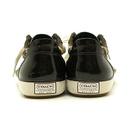 Coach(��ġ) �ñ׳��� ȣ�� ���� ����Ŀ�� �̹���5 - ���̺��� �߰���ǰ