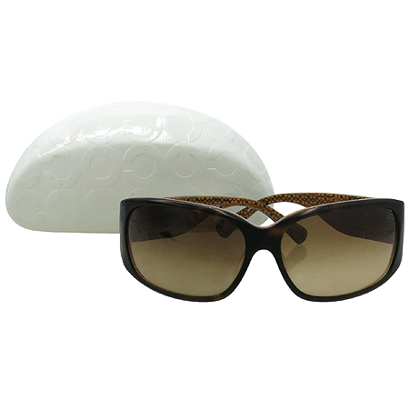 ��ġ  ���۶�