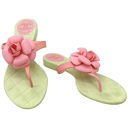 ����  ��Ÿ