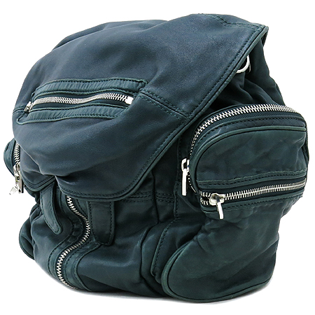 Alexanderwang(�˷������) 204045 �׸��÷� ����Ų ����Ʈ ����Ƽ ��� �� ���� �̹���3 - ���̺��� �߰���ǰ