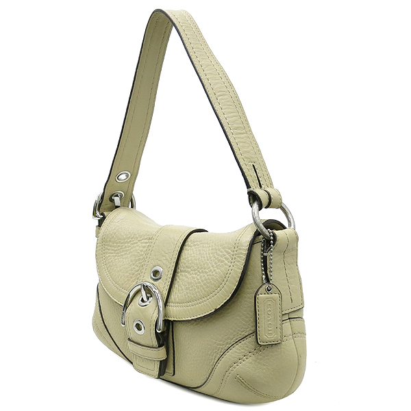 Coach(��ġ) 10909 ������ �÷� ���� ȣ�� ����� �̹���3 - ���̺��� �߰���ǰ