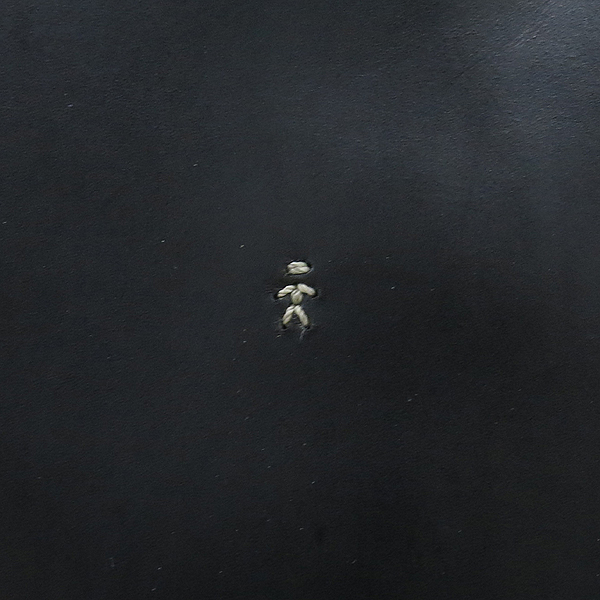 HENRY BEGUELIN(� ���۸�) ���� ���� �簢 ũ�ν��� �̹���4 - ���̺��� �߰���ǰ