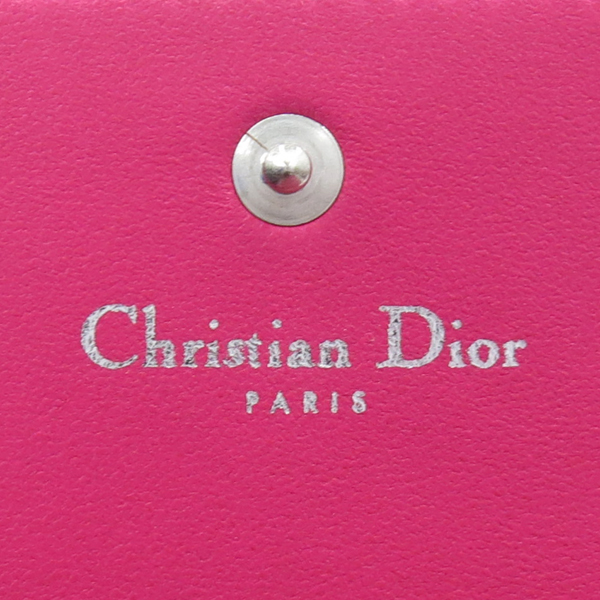 Dior(ũ����î���) S0336PCAL M00F LADYDIOR ���̵��� ����Ų ��ũ ��� ���� ������ [��������] �̹���4 - ���̺��� �߰���ǰ