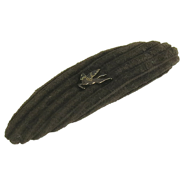 ��Ʈ��  ���Ǽ��縮