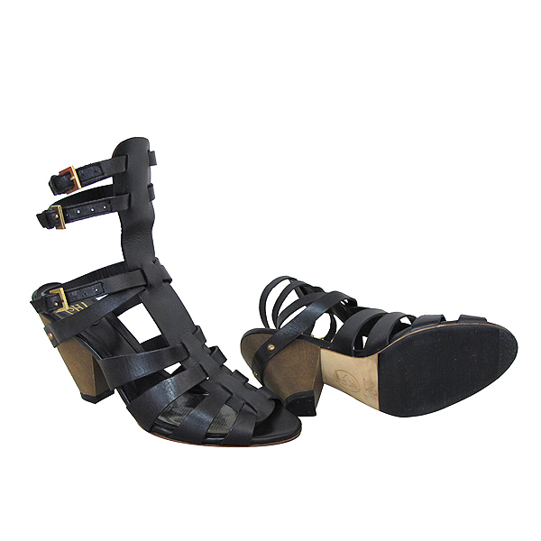 Ash(�ƽ�) ORCHID(��ġ��) ���� ���� �۷��� ������ ������ ���� [���빮��] �̹���3 - ���̺��� �߰���ǰ