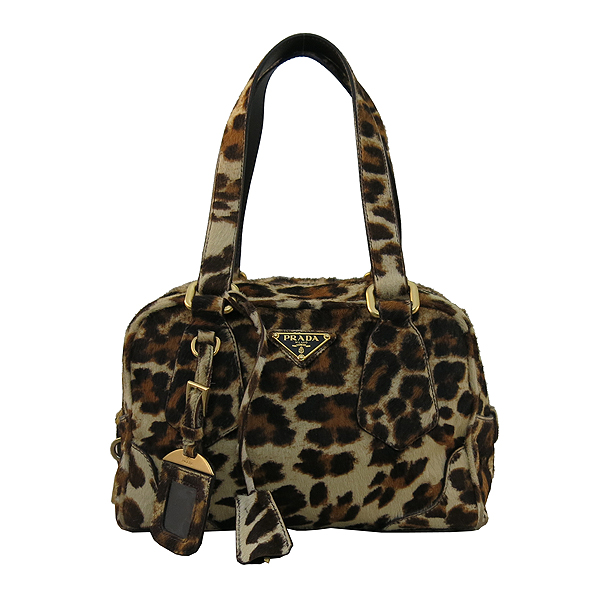 �����  ��Ʈ��