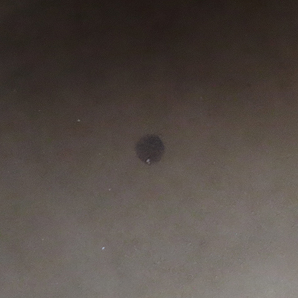 Gucci(����) 409529 GG ������ ĵ���� ������ ��Ʈ�� + ��� ��Ʈ�� [�λ꼭��Ե���] �̹���5 - ���̺��� �߰���ǰ