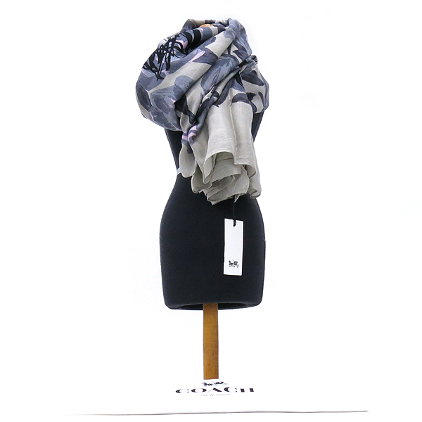 ��ġ  ��ī��