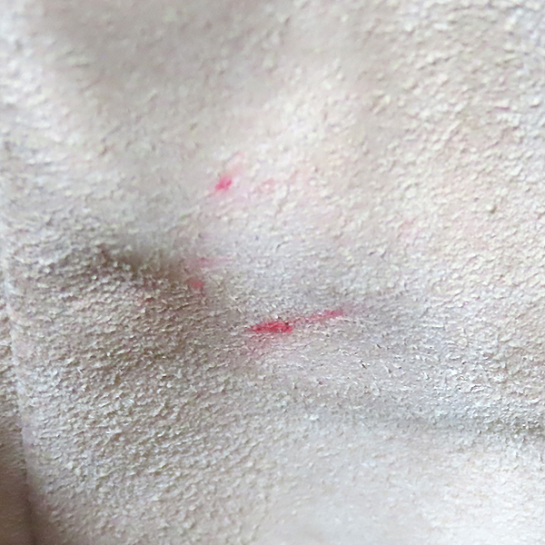 Gucci(����) 550621 GG�ΰ� ĵ���� ���ǵ�� �Ｑ ��Ŷ S ���� ������ ũ�ν��� [�λ꼭��Ե���] �̹���4 - ���̺��� �߰���ǰ