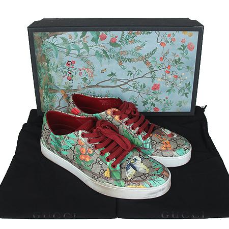 Gucci() 427079   ĵ K0LA0 Ʈ Ŀ(255~260)[ֻ]