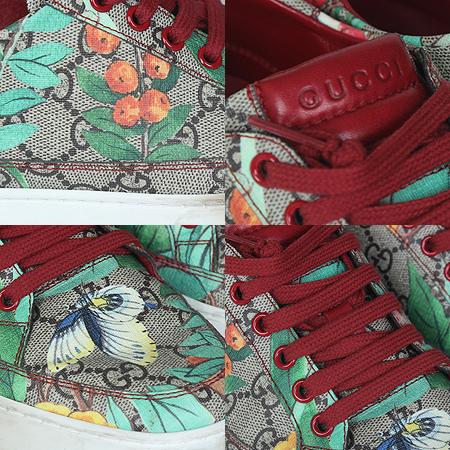 Gucci() 427079   ĵ K0LA0 Ʈ Ŀ(255~260)[ֻ] ̹4 - ̺ ߰ǰ