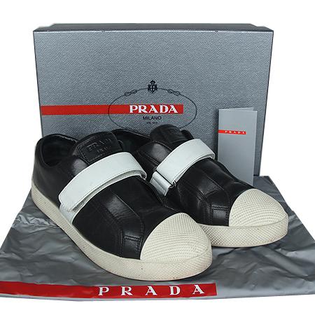 Prada() 3E6274  ̽ Ŀ(240ȣ) [ֻ]