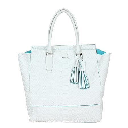 Coach(ġ) ΰ ׽ ȭƮ Ʈ(ַԵ)