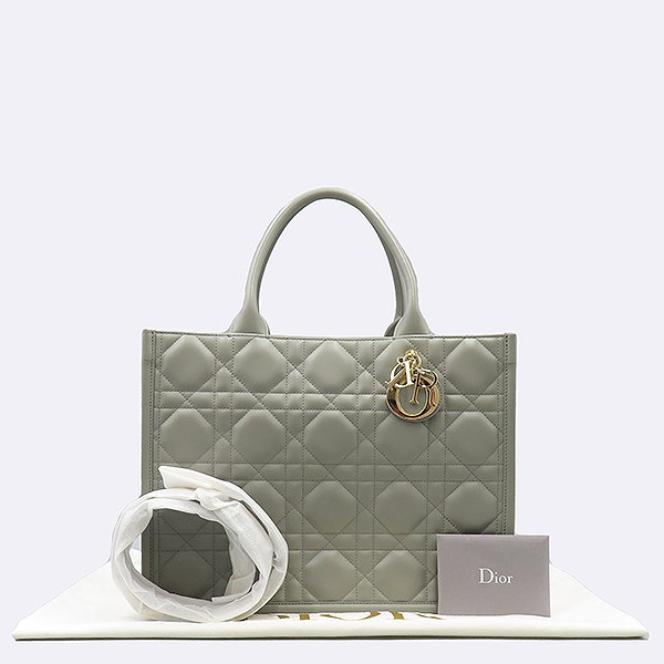  ũα Dior Book Tote ̵  