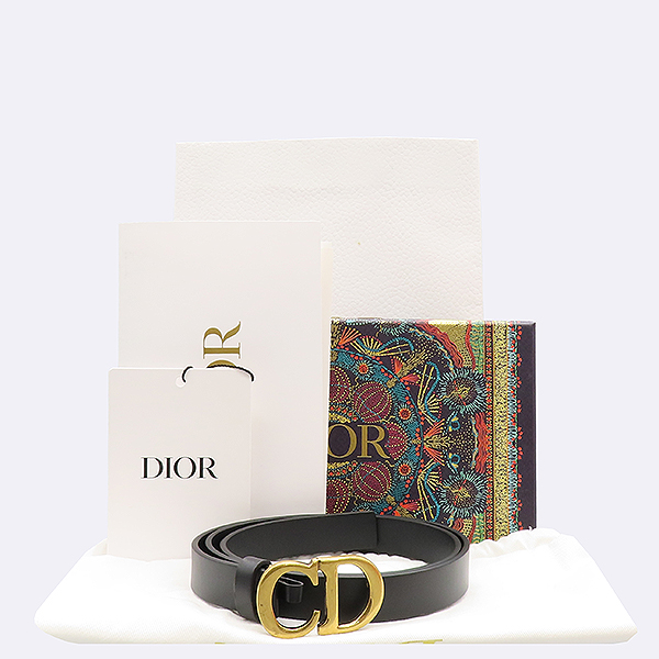 Dior(ũî) B0042CWGH_M900   SADDLE()  Ʈ []