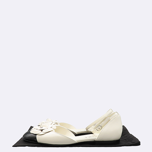 ���� ī�Ḯ�� �޸����� �÷�����