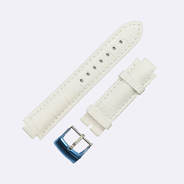 ���̺��� ���θ� ���������� ��ġ ��Ʈ�� 