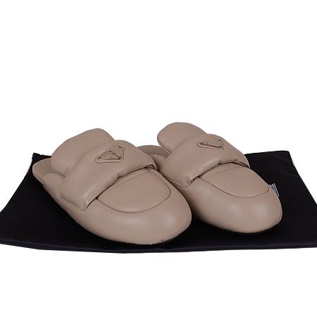 ����� ��Ƽ�� ����