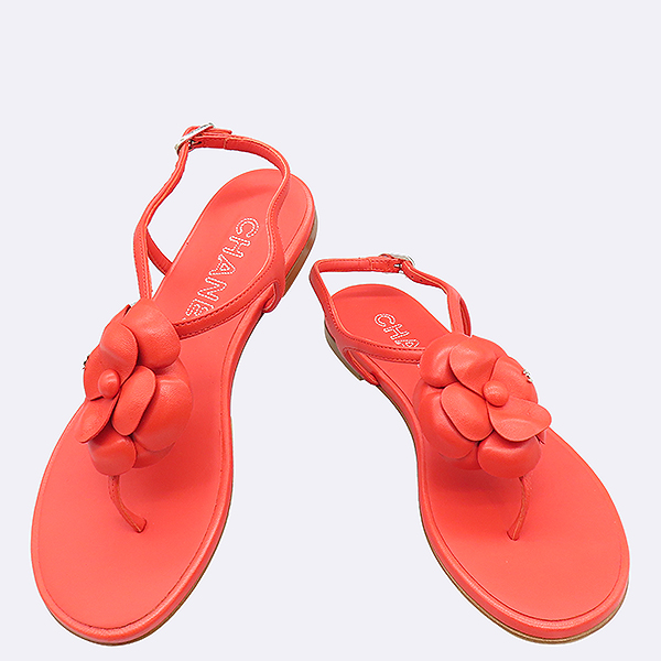 ���� ��Ḯ�� ����