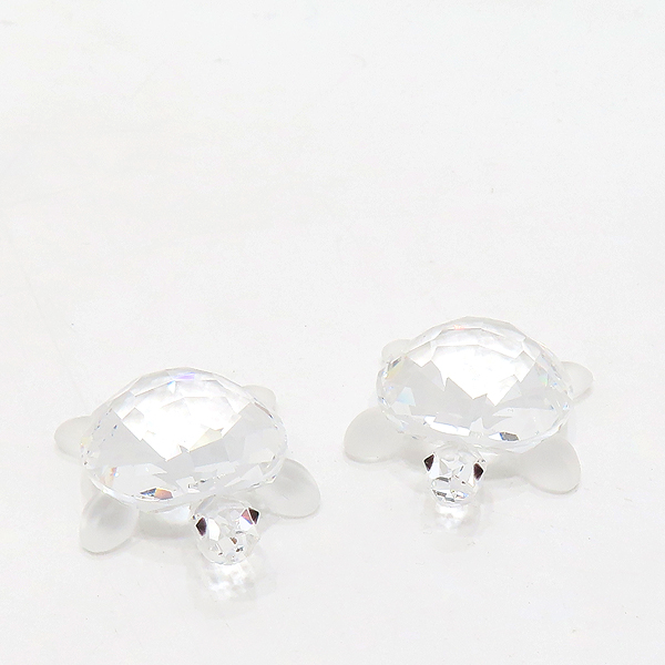 ���ͷκ꽺Ű TORTOISES BABY ������ �ǱԾ� ��Ʈ 
