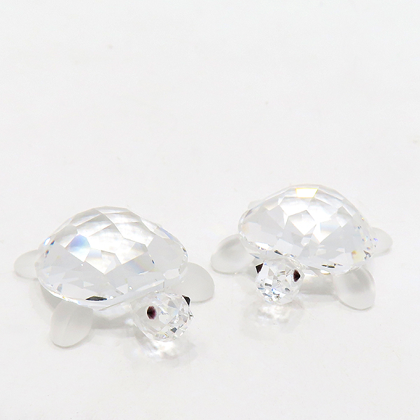 ���ͷκ꽺Ű TORTOISES BABY ������ �ǱԾ� ��Ʈ 