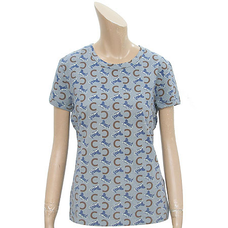 ������  Ƽ