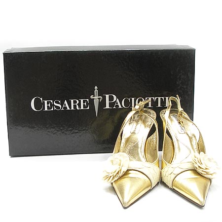 CESARE PACIOTTI(ü�緹��ġ��Ƽ) ���� �̹���2 - ���̺��� �߰���ǰ