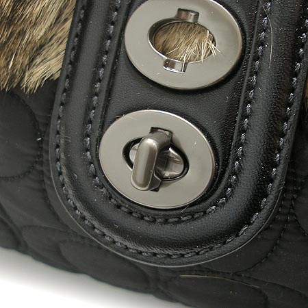 Coach(��ġ) �䳢�� ����� �̹���4 - ���̺��� �߰���ǰ