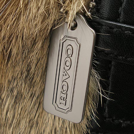 Coach(��ġ) �䳢�� ����� �̹���5 - ���̺��� �߰���ǰ