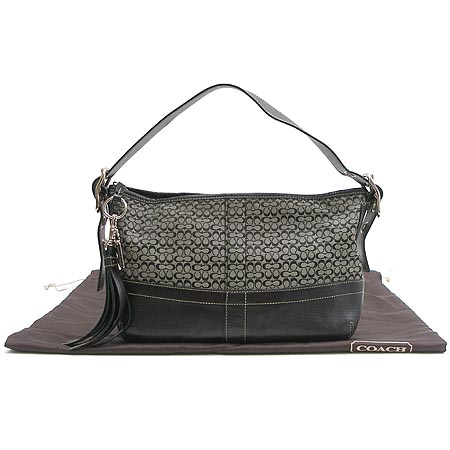 Coach(��ġ) �ñ׳��� ����� �̹���2 - ���̺��� �߰���ǰ
