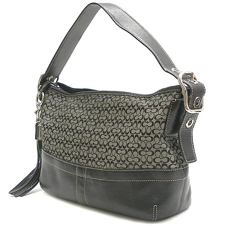 Coach(��ġ) �ñ׳��� ����� �̹���3 - ���̺��� �߰���ǰ