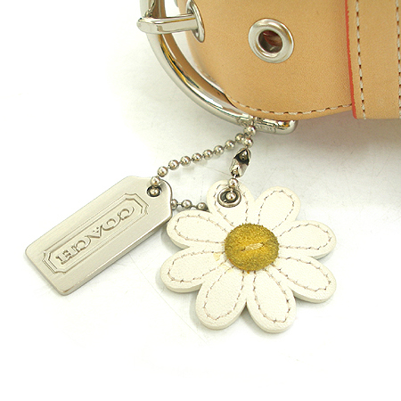Coach(��ġ) ����� �̹���4 - ���̺��� �߰���ǰ