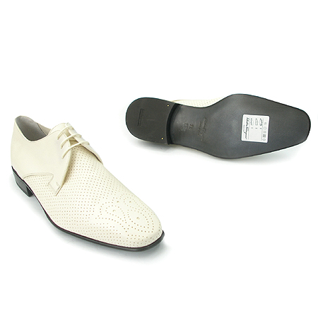 Ferragamo(󰡸)  ̹4 - ̺ ߰ǰ