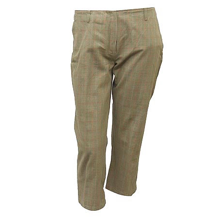 ��������  ����